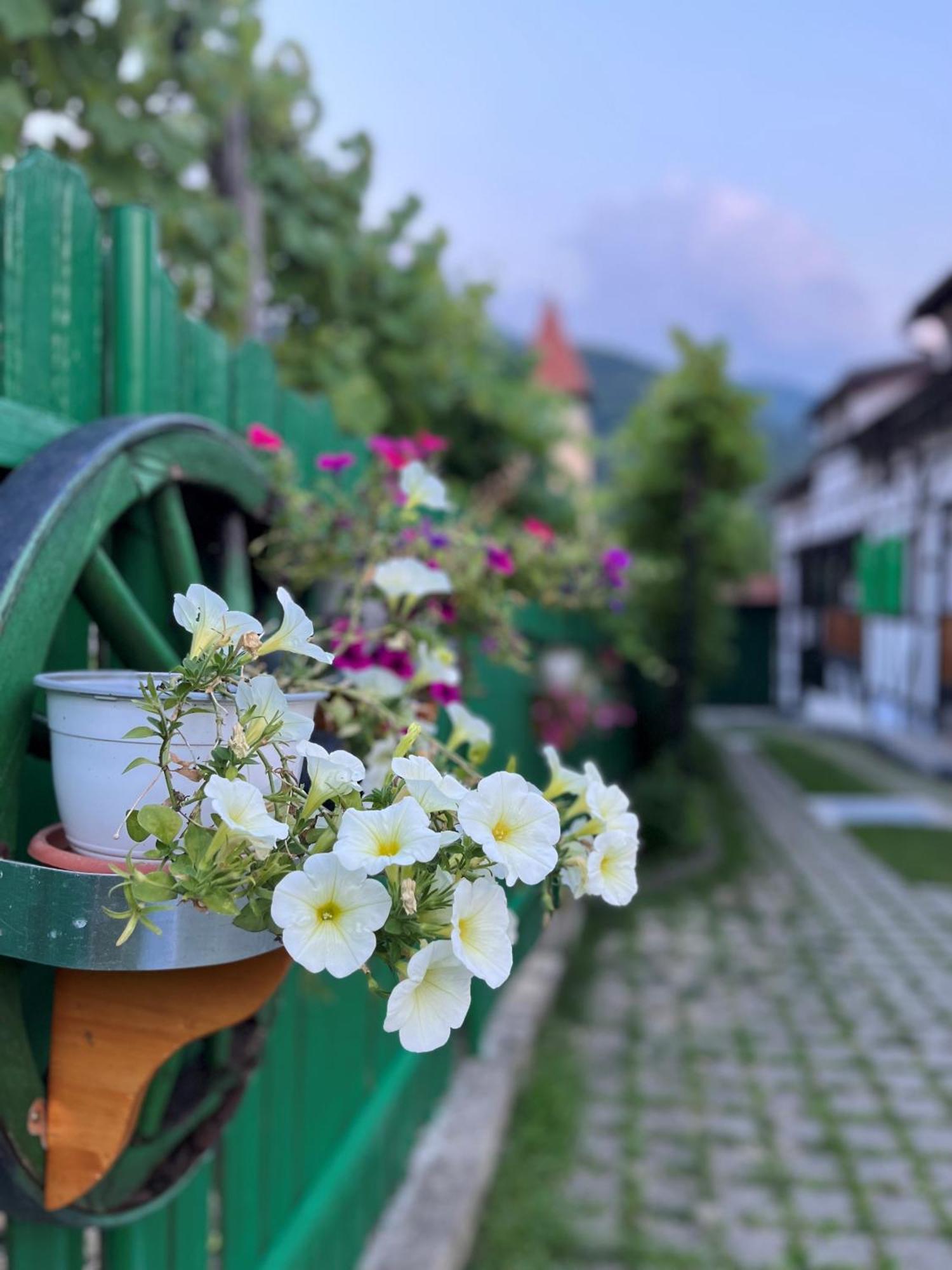 Pensiunea Gasthof Michelsberg Luaran gambar